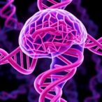 genetic-links-between-diabetes-drug-targets-and-parkinson’s