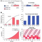 chemo-response-depth-predicts-survival-in-germ-cell-tumors