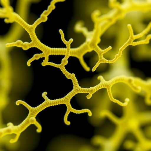 hybrid-bioprinting-creates-capillary-scale-vascular-networks