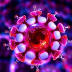 targeting-irf4:-new-therapy-for-multiple-myeloma