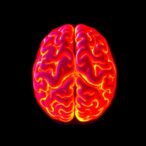 breakthrough-brain-scan-identifies-alzheimer’s-tau-protein-earlier-than-current-methods