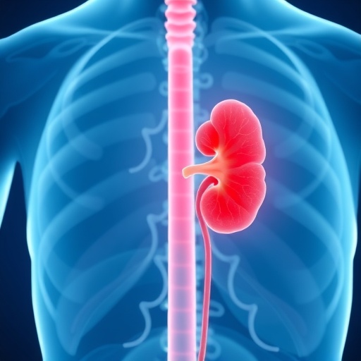halp-score-links-to-outcomes-in-acute-kidney-injury