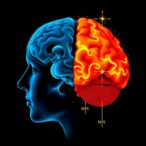 brain-scans-uncover-two-distinct-autism-subtypes-with-unique-biological-signatures