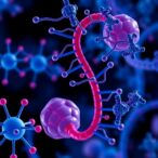 uncovering-pancreatic-cancer-biomarkers-via-mutation-analysis