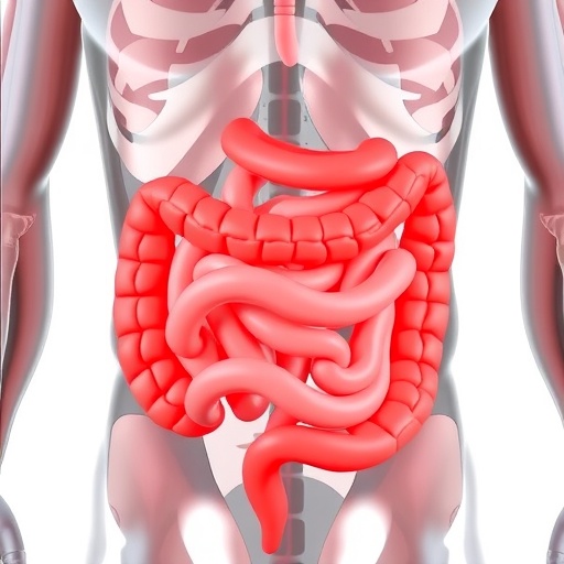protein-hydrolysate-boosts-immature-intestinal-barriers