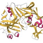 state-of-the-diagnostic-industry:-recombinants-on-the-rise