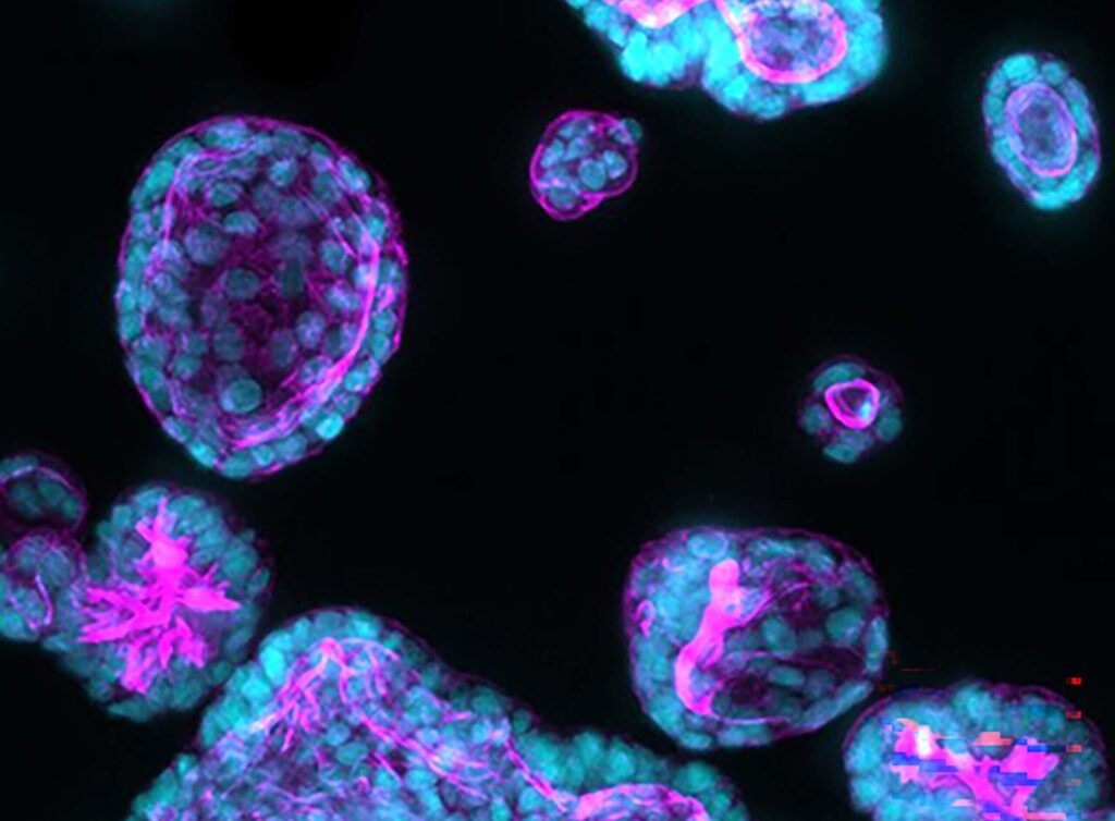 next-generation-biopharma-innovation