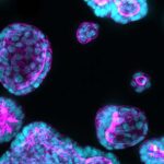 next-generation-biopharma-innovation