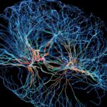 neuropixels-opto-integrates-electrophysiology-and-optogenetics-to-probe-neuronal-function