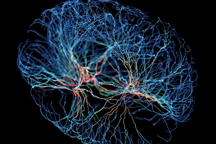 neuropixels-opto-integrates-electrophysiology-and-optogenetics-to-probe-neuronal-function