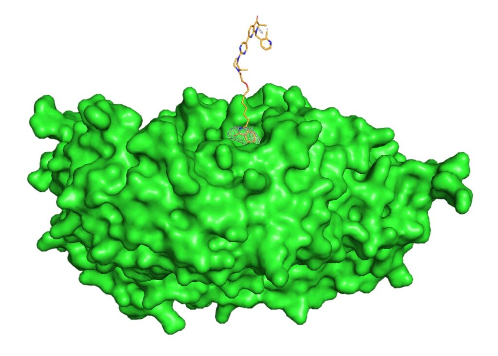targeted-protein-degradation-broadens-its-scope