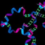 aav8-gene-therapy-reverses-protein-c-deficiency