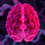 crispr-gene-editing-reveals-role-of-collagen-dysfunction-in-cerebral-microbleeds
