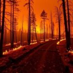 six-pathways-to-safety:-new-research-identifies-key-threshold-for-wildfire-survival