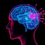 visual-cues-shape-brain-networks-after-acl-surgery