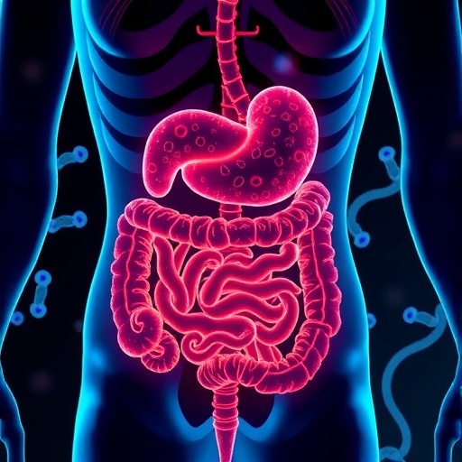gut-microbiome-reactivates-androgens-to-control-motility