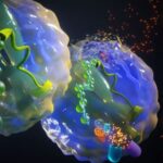 foundation-medicine-tallies-fda-nod-to-pair-its-blood-test-with-pfizer’s-prostate-cancer-combo