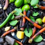 optimizing-heat-levels-enhances-biochar’s-role-in-food-waste-composting