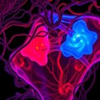caveolae-mechanics:-key-roles-in-cells-and-disease