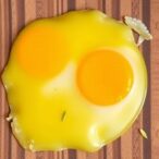ziziphus,-probiotics-cut-egg-yolk-cholesterol-in-hens