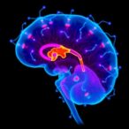 european-funded-study-uncovers-new-biomarkers-for-autism-in-preterm-children