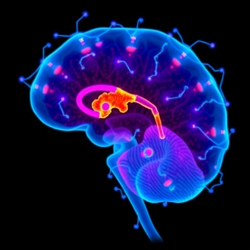 european-funded-study-uncovers-new-biomarkers-for-autism-in-preterm-children