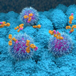 spatial-single‑cell-platform-reveals-barriers-to-antibody-delivery-in-solid-tumors