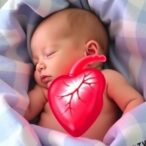 caring-for-tiny-hearts:-cardiovascular-insights-in-newborns