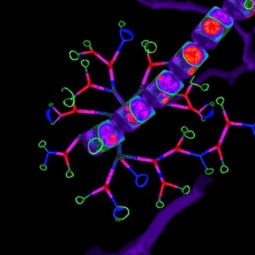 acridine-compound-binds-vegf,-cuts-cam-vascularization