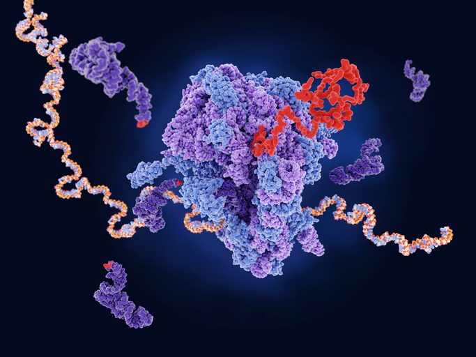 new-antibiotic,-manikomycin,-acts-on-novel-ribosomal-target