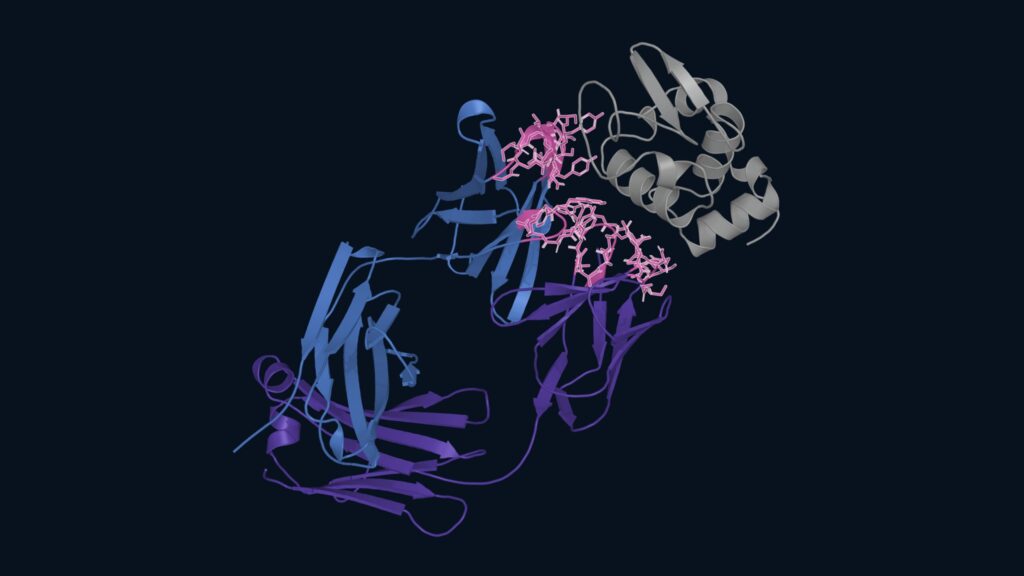 web-app-helps-flag-antibodies-where-manufacturability-might-be-an-issue