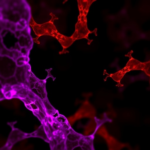 commensal-acetylcholine-boosts-mucosal-immunity
