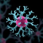 next-gen-3d-models-revolutionize-lymphoid-cancer-research