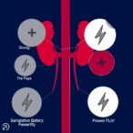flow-trial-reveals-semaglutide-improves-quality-of-life-in-diabetes-and-kidney-disease-patients