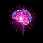 physics-trained-digital-‘super-brain’-accelerates-technology-innovation