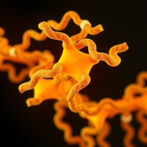 atp-binding-remodels-amyloid-fibrils,-reduces-toxicity