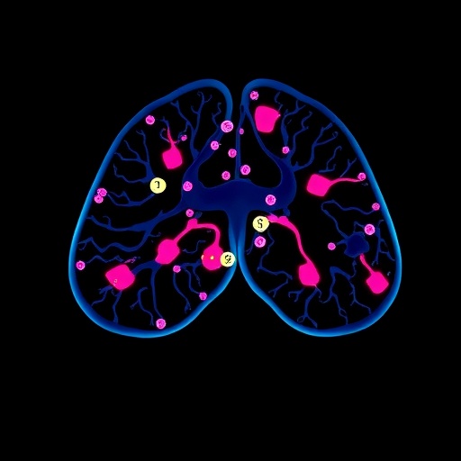 methylation-ctdna-tracks-metastatic-breast-cancer-therapy