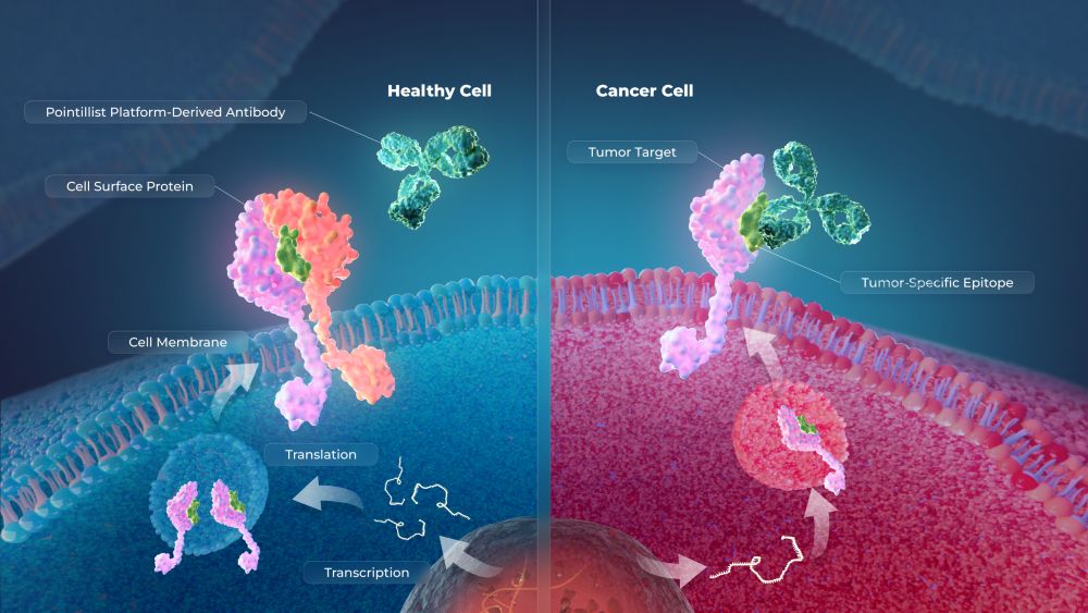 stipple-bio-and-lonza-agree-to-focus-on-advancing-oncology-adc-therapies