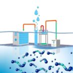 ion-and-water-transport-in-co2-electrolyzers