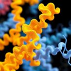 exploring-protein-structures-globally-with-folddisco