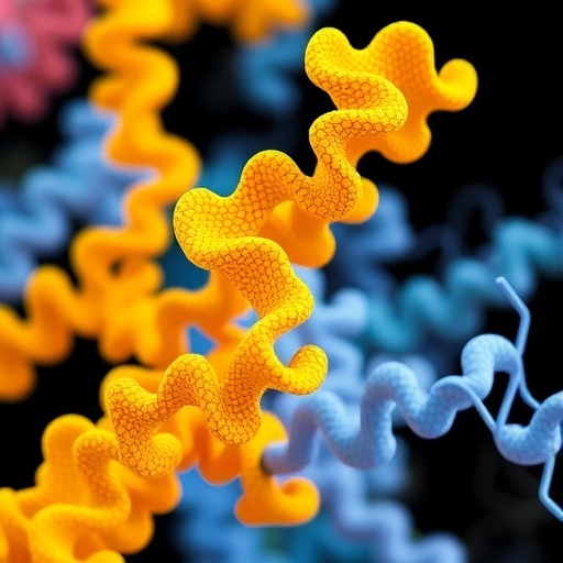 exploring-protein-structures-globally-with-folddisco