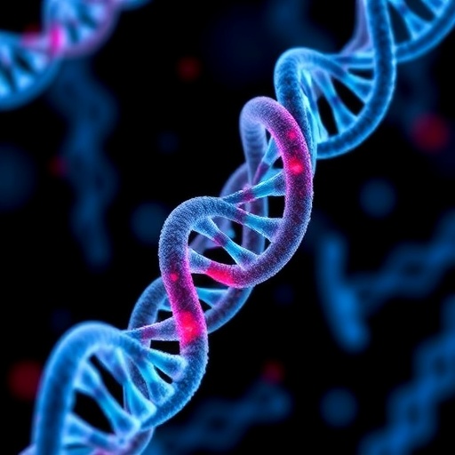 studying-lethal-dna-loops-with-patient-derived-research-models