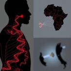 epigenetics-and-prostate-cancer-in-african-ancestry