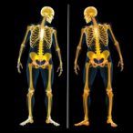 allergic-diseases-linked-to-osteoporosis,-fractures-in-elderly