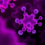 genipin-crosslinked-nanoparticles-target-mcf-7-breast-cancer