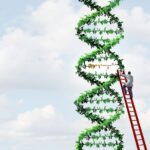 twin-prime-editing-enables-rapid-trait-stacking-in-crops