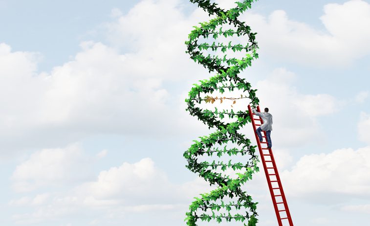 twin-prime-editing-enables-rapid-trait-stacking-in-crops