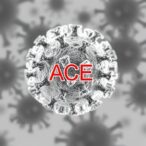 benzothiazole-inhibitor-targets-pan-sarbecovirus-ace2