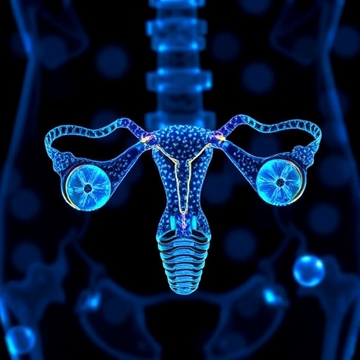 kcnma1-balances-calcium–potassium-to-impact-ovarian-cancer