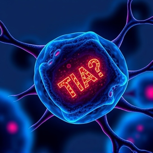 tia-1-boosts-fundc1-to-prevent-cell-aging